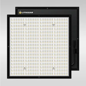 LITEGEAR Lite Mat Spectrum 2